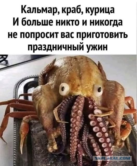 Веселые картинки в последний рабочий день уходящего года (28.12)