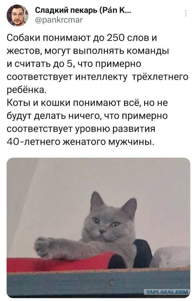 Я пошел, а вы как хотите