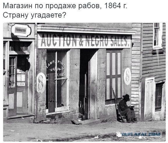 Так себе картинки 29.04.25
