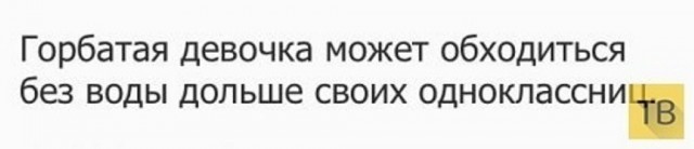 Праздничная дичь. Ударная доза