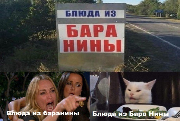 Знаменитый кот