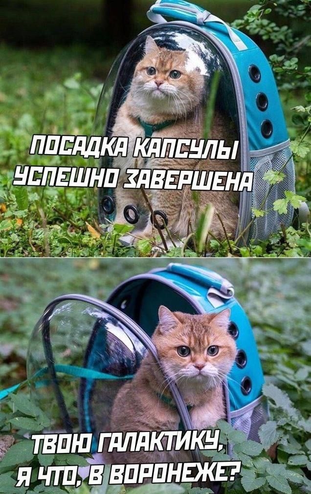 Всех с Новым годом!