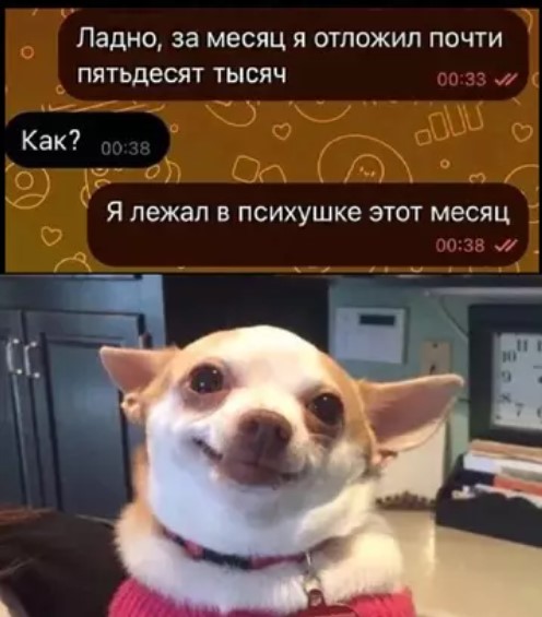 Картиночки, баянчики 29 марта