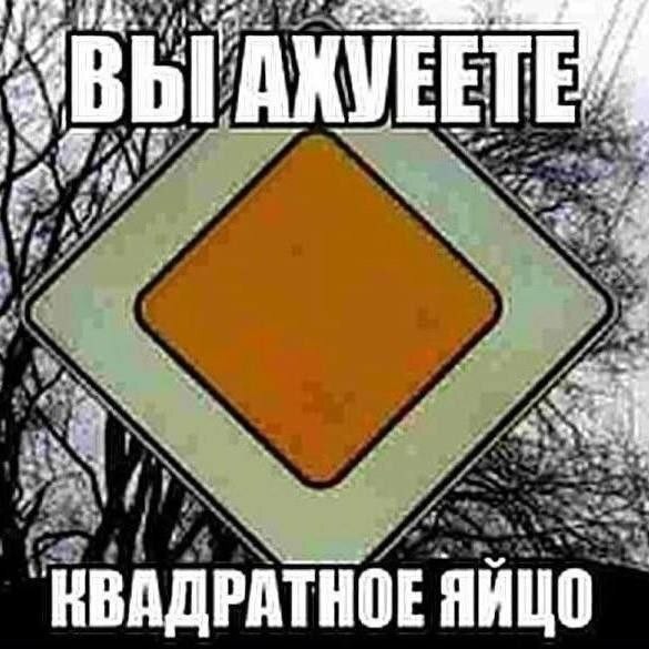 Картинки для деградации 307 (разной степени свежести)
