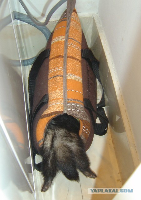 удалить! тест !