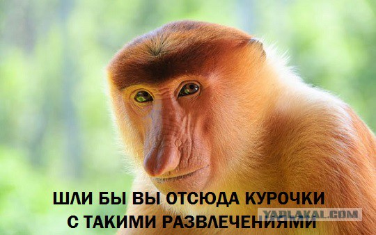 Сомнительное удовольствие