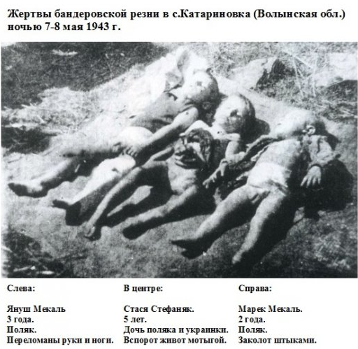 Великие Советские Ватники