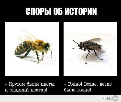 Немножко текста от себя...