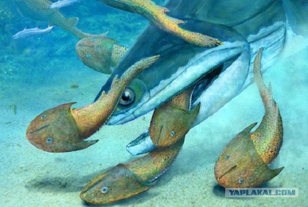 Удивительные открытия в палеонтологии