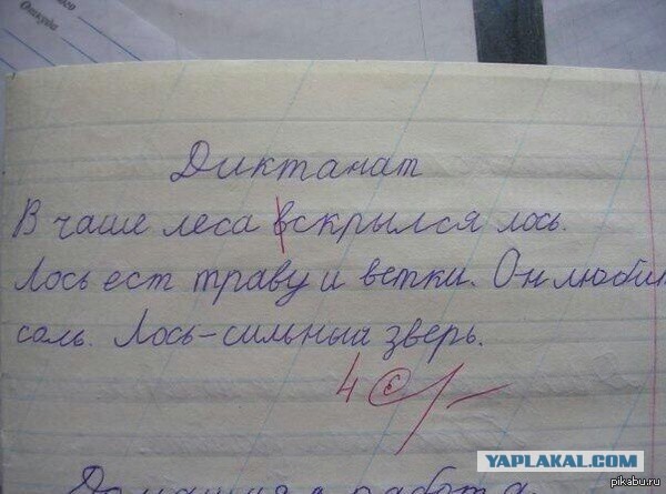 Гениальные ответы на контрольных работах...