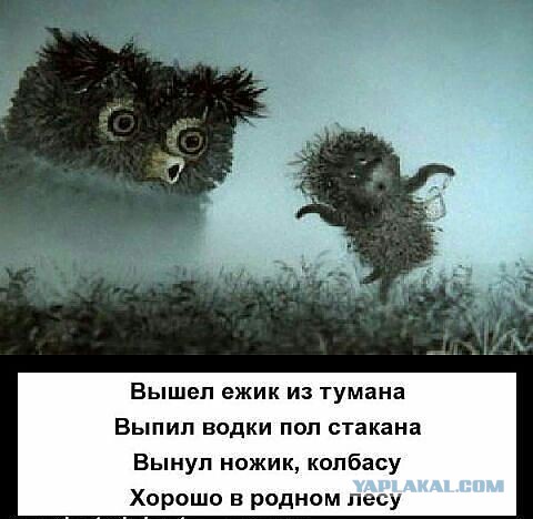 Веселая подборка