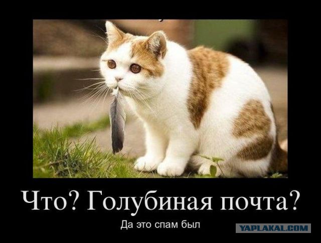 Антиспам