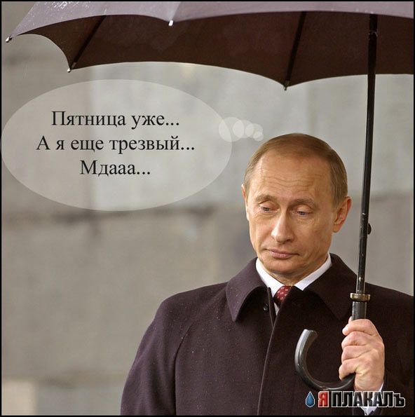 ПУТИН. Все про Путина, ВВП, Владимир Владимирович