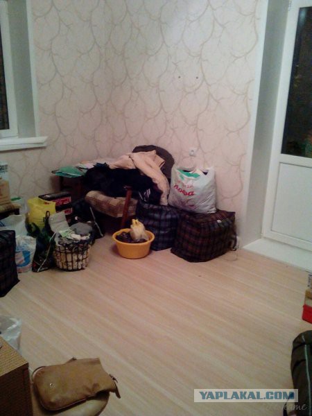 731 день в России. Получение гражданства. Привыкание. Как и за что полюбить Кострому?