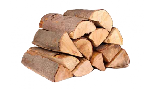 Туркменский президент написал книгу