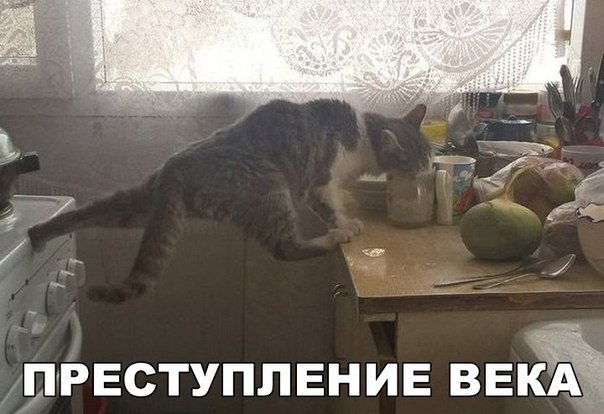 Субботняя подборочка картинок