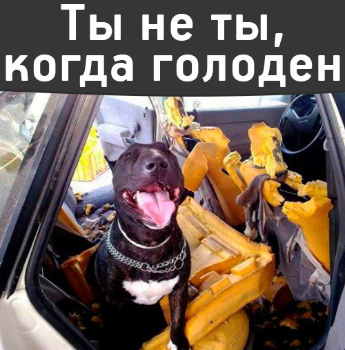 Подборка интересных и веселых картинок