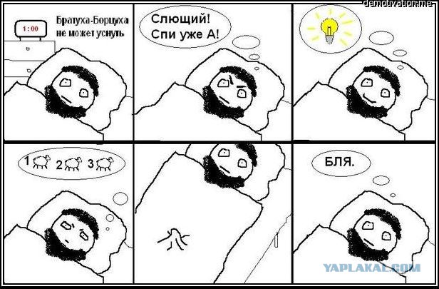 Овца на КАДе