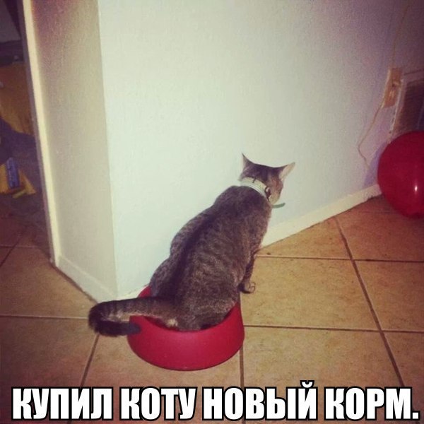 Предпраздничный маразм на предстоящую неделю