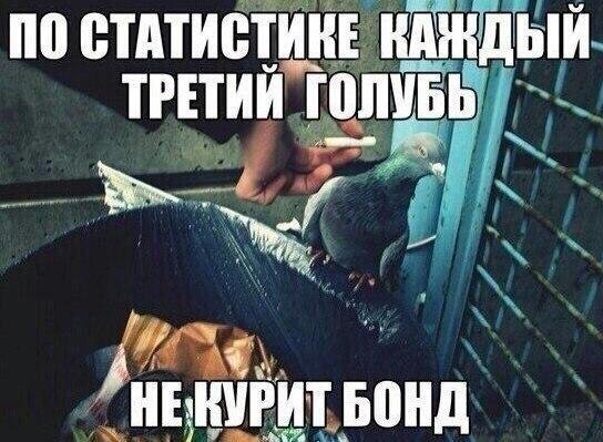 Приколы в стиле "регресс"