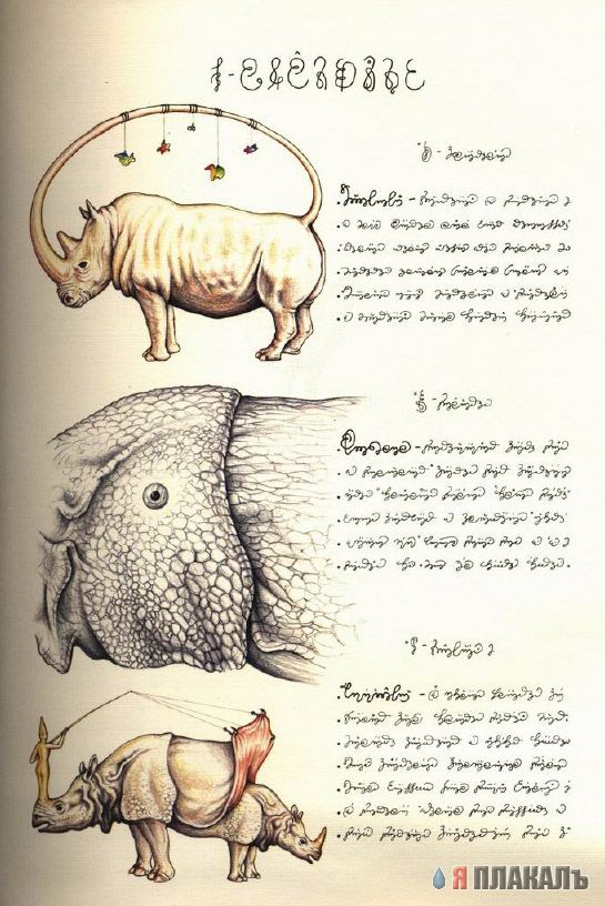 Codex Seraphinianus - что курил автор?