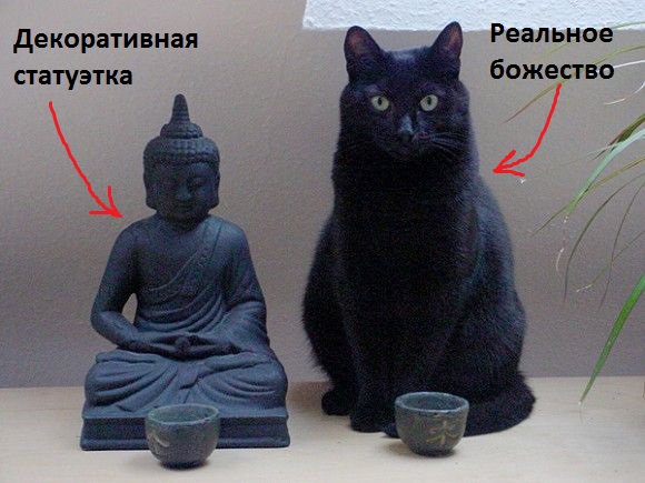 Как меня в ислам обращали
