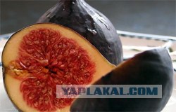 5 новых афродизиаков. Употреблять с осторожностью!