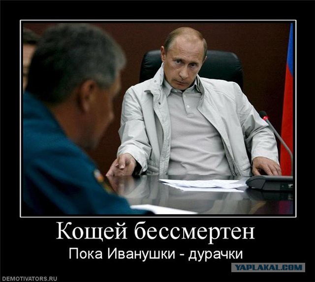 Путин отменил все публичные мероприятия