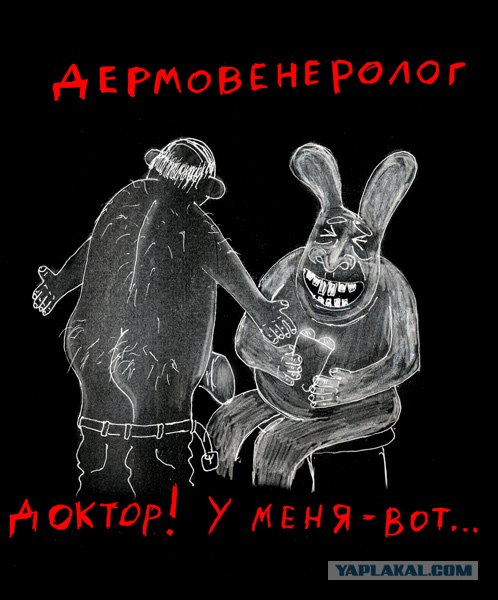 Добрые зайчики правят миром! (10 штук)