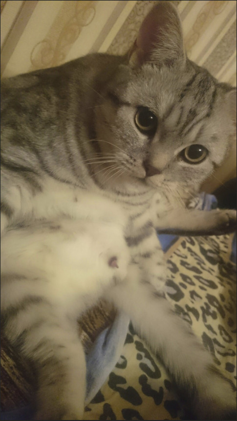 Немного милоты