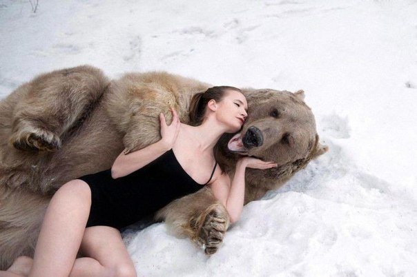 Милые животные. Мимиметр сломался