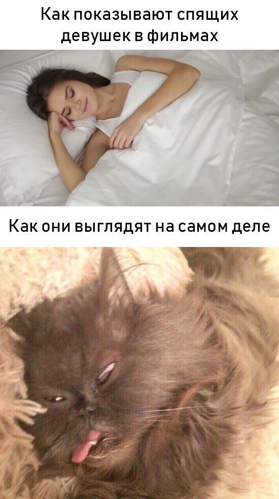 Куда катится жизнь
