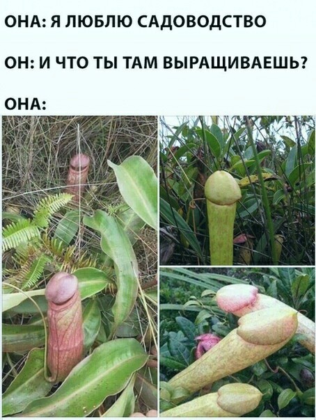 Немного картинок для настроения