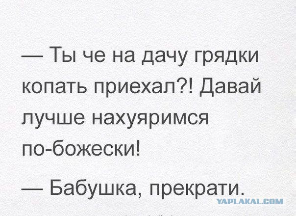 Поедем на дачу?