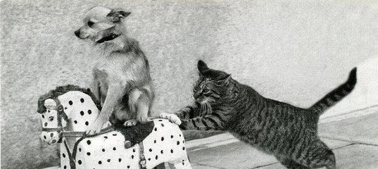 Кормилец вернулся
