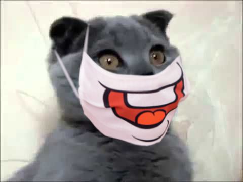 Нарвский. Страница старого блокнота