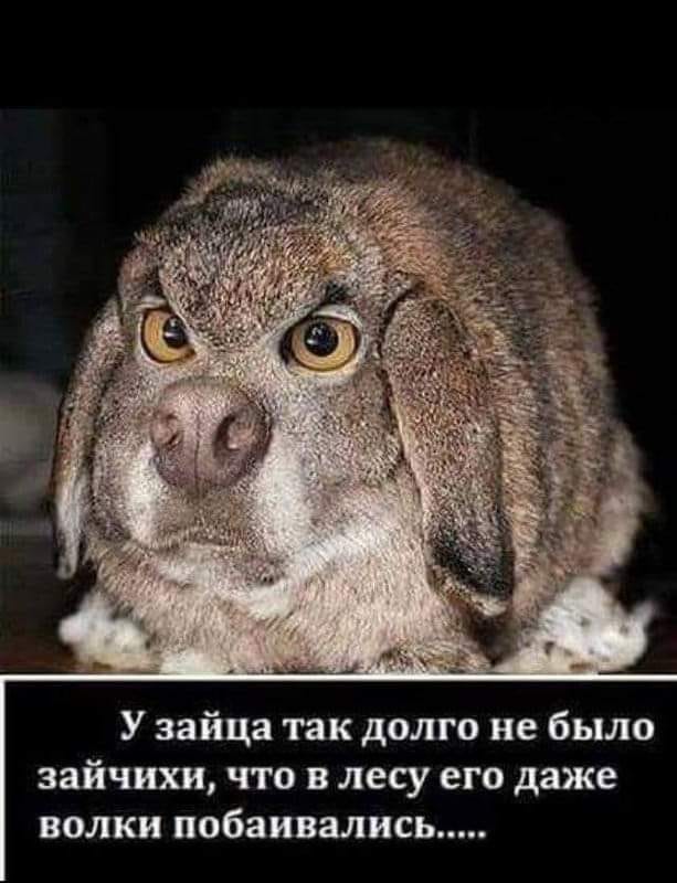 Бредзона 02.05.20