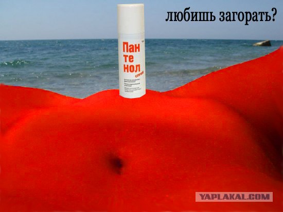 Ракушка и море