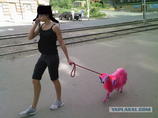 Перис Хилтон из Фрязино