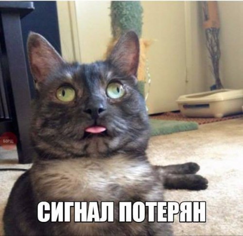 World of Warships - 9