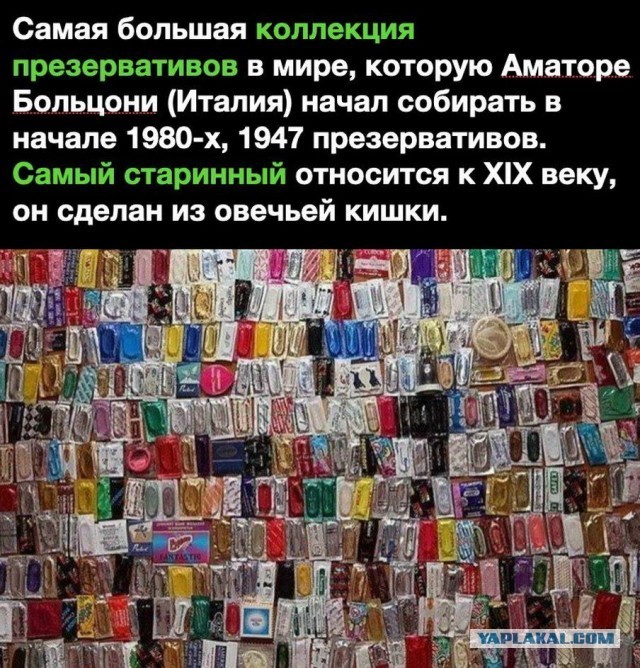 Бредзона 12.07.2020