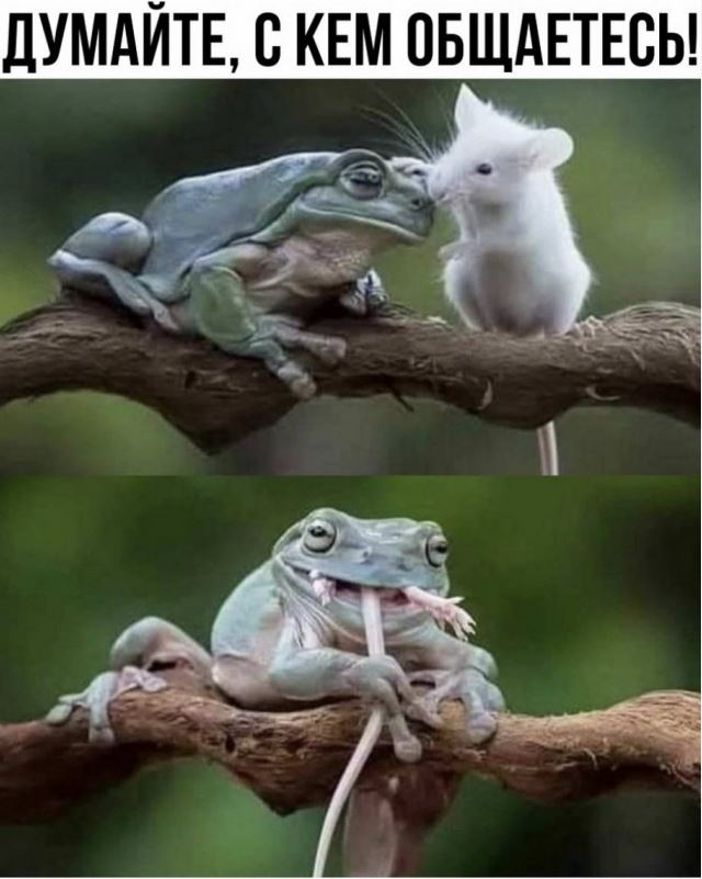 Я люблю вашего мужа