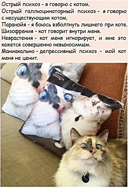Прикольные и просто красивые картинки 12.11.2020
