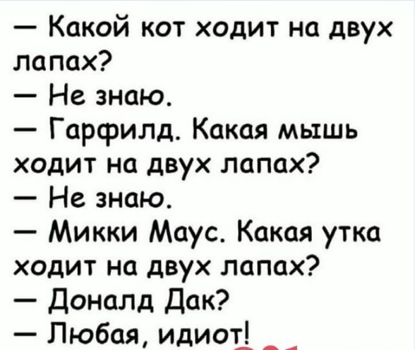 Немного картинок для настроения 14.11.20