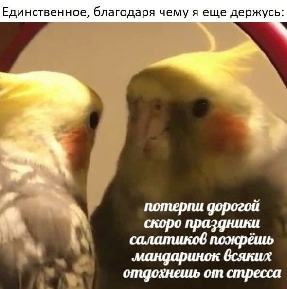 Картинок пост на сон грядущий