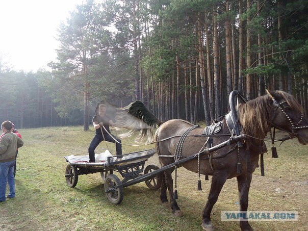Фотожаба: если б я имел коня...
