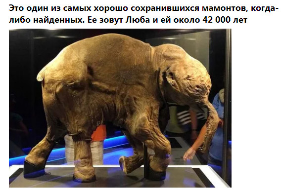 Фото-винегрет-2. Картинки ниапчём и обо всём
