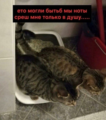 В школе запретили длинные волосы, тату и косметику