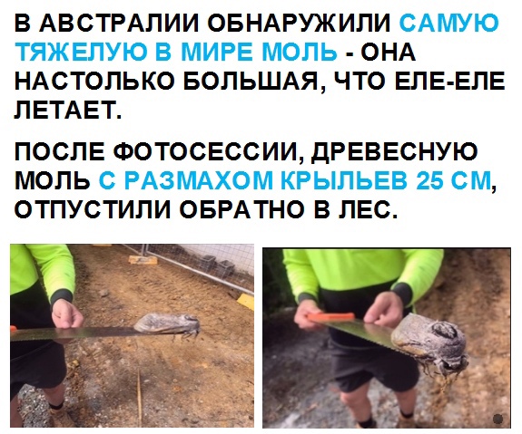 Так себе картинки 07.08.21