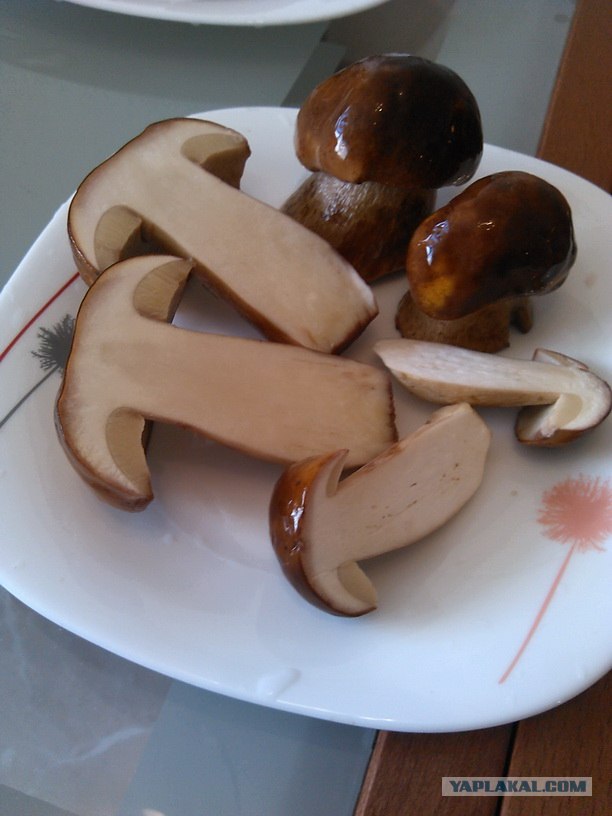 Дача, грибы, мясо, овощи.